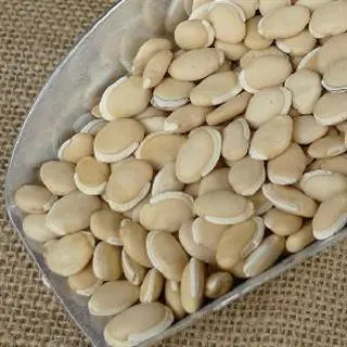進口緬甸白扁豆清關(guān)要什么文件？