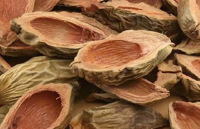進(jìn)口大腹皮清關(guān)手續(xù)和所需單證