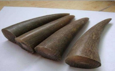 越南水牛角出口前要怎樣拋光打磨？