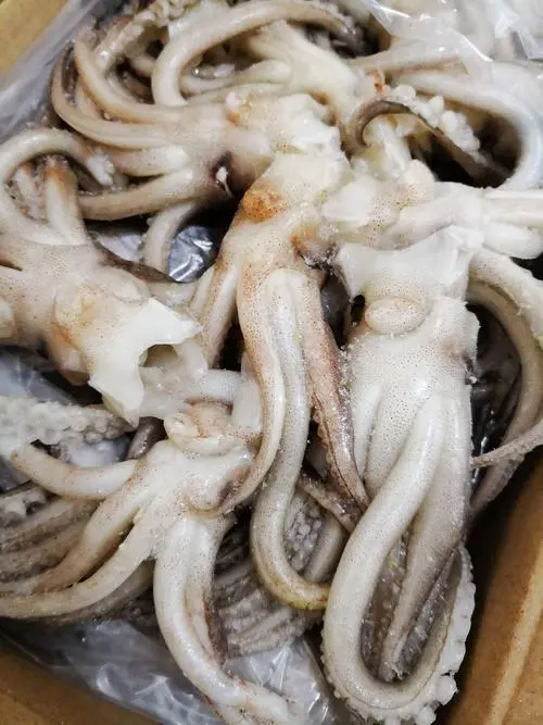 關(guān)于印尼凍魷魚進(jìn)口清關(guān)手續(xù)和注意事項(xiàng)介紹