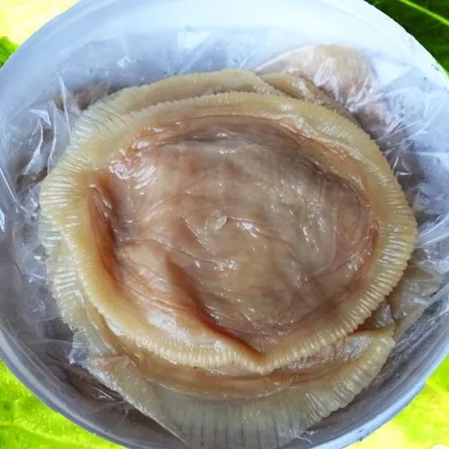 進(jìn)口泰國海蜇回國內(nèi)清關(guān)要什么資料？