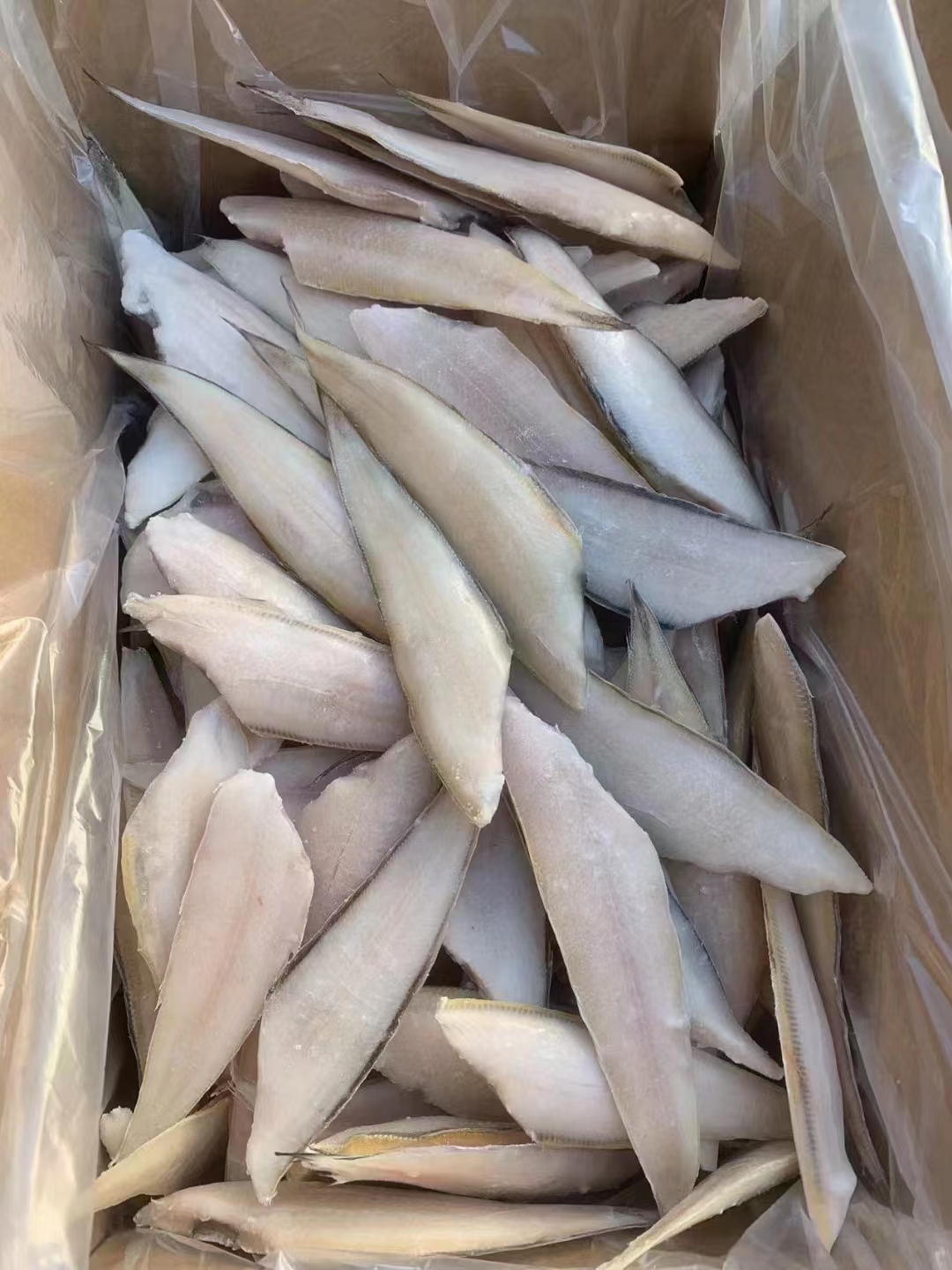 如何辦理印度凍魚進(jìn)口清關(guān)手續(xù)？